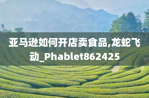 亚马逊如何开店卖食品,龙蛇飞动_Phablet862425