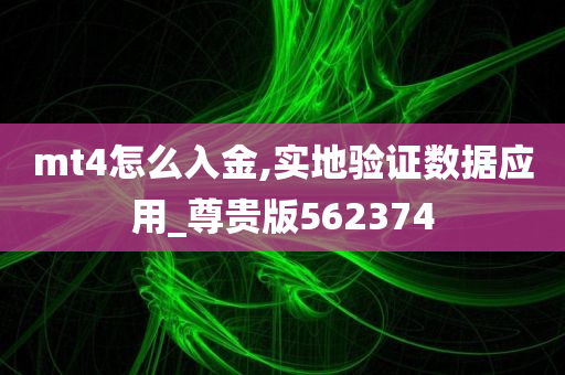 mt4怎么入金,实地验证数据应用_尊贵版562374