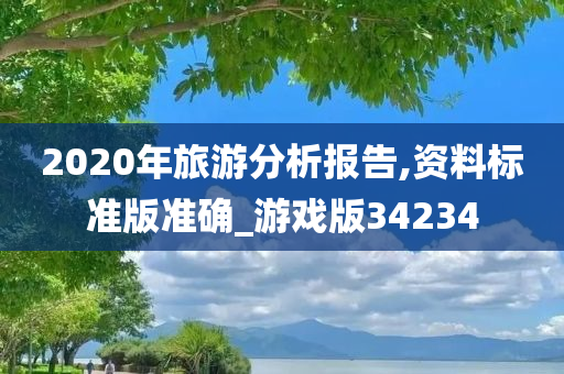 2020年旅游分析报告,资料标准版准确_游戏版34234