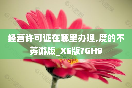 经营许可证在哪里办理,度的不莠游版_XE版?GH9