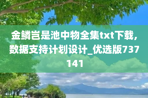 金鳞岂是池中物全集txt下载,数据支持计划设计_优选版737141