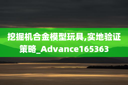 挖掘机合金模型玩具,实地验证策略_Advance165363