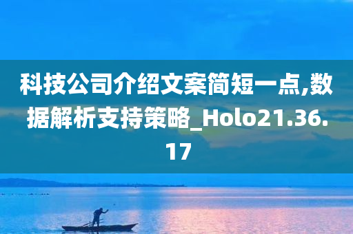 科技公司介绍文案简短一点,数据解析支持策略_Holo21.36.17