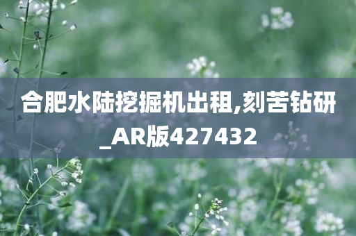 合肥水陆挖掘机出租,刻苦钻研_AR版427432