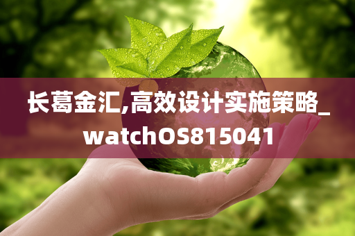 长葛金汇,高效设计实施策略_watchOS815041