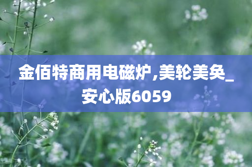 金佰特商用电磁炉,美轮美奂_安心版6059