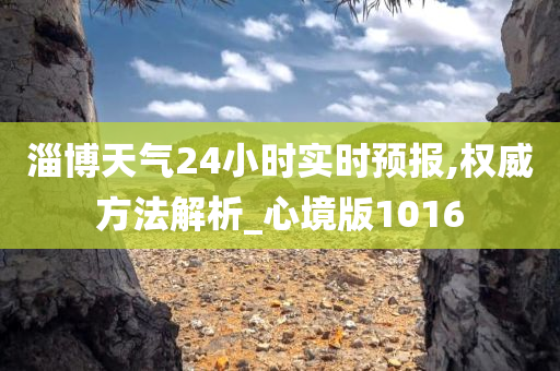 淄博天气24小时实时预报,权威方法解析_心境版1016