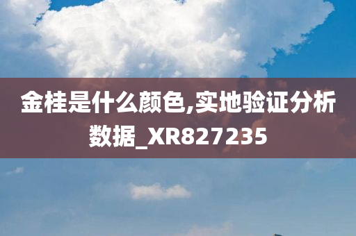 金桂是什么颜色,实地验证分析数据_XR827235