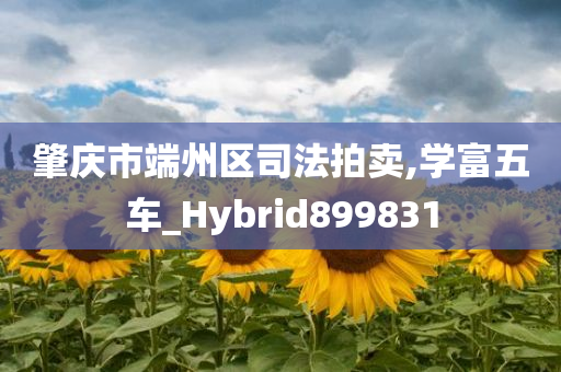 肇庆市端州区司法拍卖,学富五车_Hybrid899831