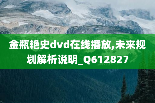 金瓶艳史dvd在线播放,未来规划解析说明_Q612827