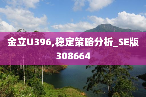 金立U396,稳定策略分析_SE版308664