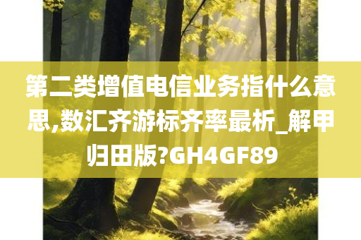 第二类增值电信业务指什么意思,数汇齐游标齐率最析_解甲归田版?GH4GF89