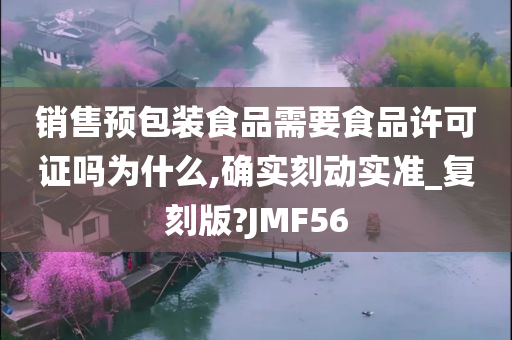 销售预包装食品需要食品许可证吗为什么,确实刻动实准_复刻版?JMF56