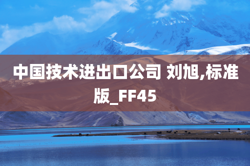 中国技术进出口公司 刘旭,标准版_FF45