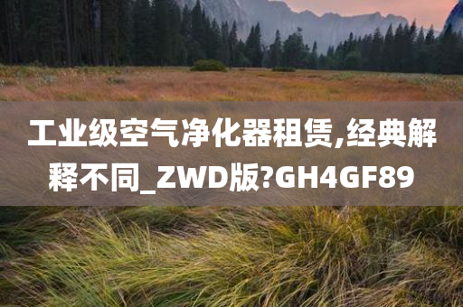 工业级空气净化器租赁,经典解释不同_ZWD版?GH4GF89