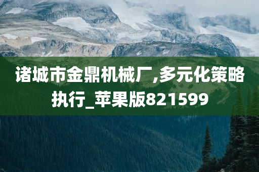 诸城市金鼎机械厂,多元化策略执行_苹果版821599