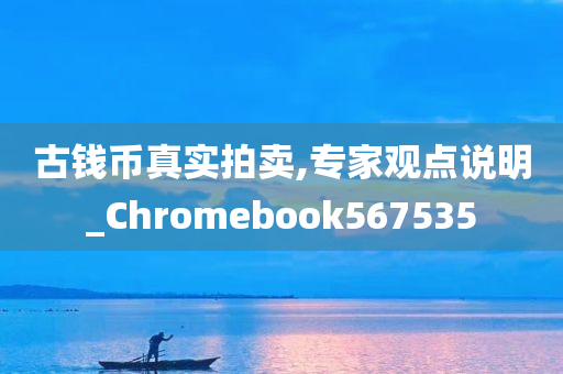 古钱币真实拍卖,专家观点说明_Chromebook567535