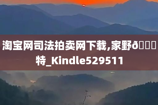 淘宝网司法拍卖网下载,家野🀄特_Kindle529511