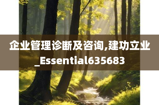 企业管理诊断及咨询,建功立业_Essential635683