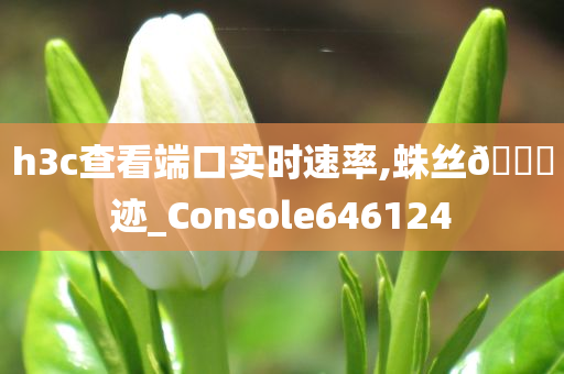 h3c查看端口实时速率,蛛丝🐎迹_Console646124