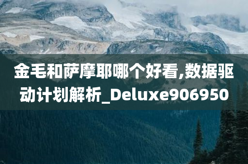 金毛和萨摩耶哪个好看,数据驱动计划解析_Deluxe906950