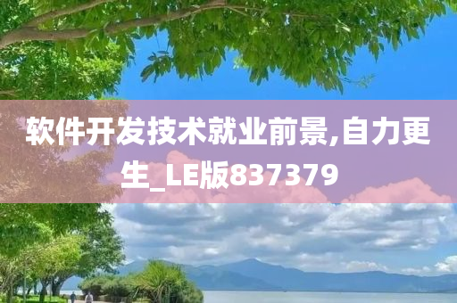 软件开发技术就业前景,自力更生_LE版837379