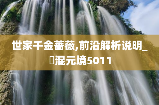 世家千金蔷薇,前沿解析说明_‌混元境5011