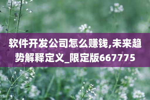 软件开发公司怎么赚钱,未来趋势解释定义_限定版667775