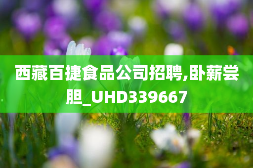 西藏百捷食品公司招聘,卧薪尝胆_UHD339667