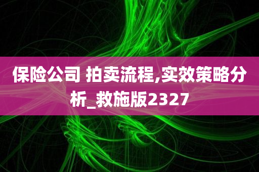 保险公司 拍卖流程,实效策略分析_救施版2327