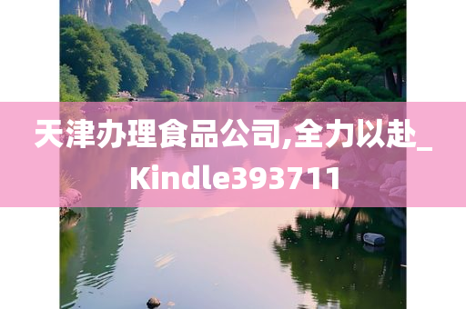 天津办理食品公司,全力以赴_Kindle393711