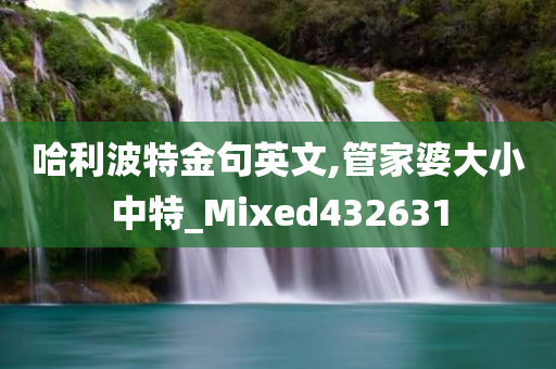 哈利波特金句英文,管家婆大小中特_Mixed432631