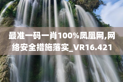 最准一码一肖100%凤凰网,网络安全措施落实_VR16.421