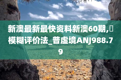 新澳最新最快资料新澳60期,‌模糊评价法_普虚境ANJ988.79