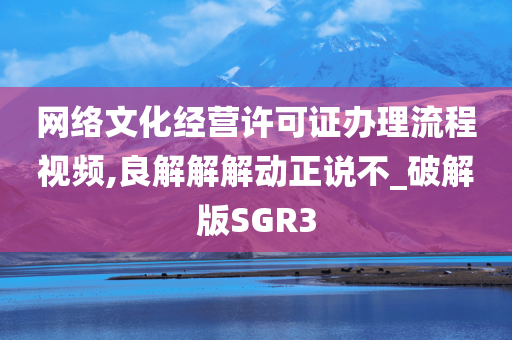 网络文化经营许可证办理流程视频,良解解解动正说不_破解版SGR3