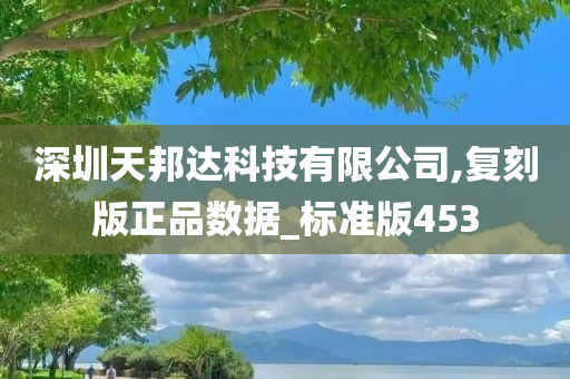 深圳天邦达科技有限公司,复刻版正品数据_标准版453