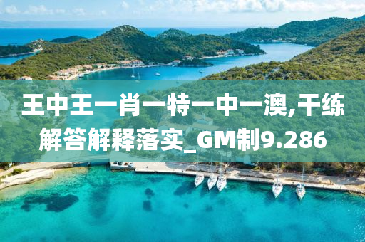 王中王一肖一特一中一澳,干练解答解释落实_GM制9.286