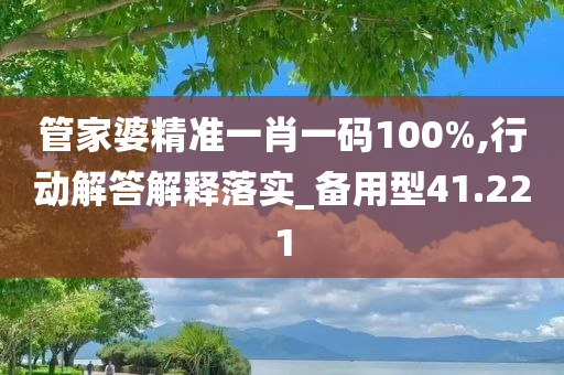 管家婆精准一肖一码100%,行动解答解释落实_备用型41.221