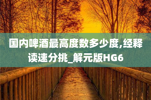 国内啤酒最高度数多少度,经释读速分挑_解元版HG6