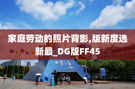 家庭劳动的照片背影,版新度选新最_DG版FF45