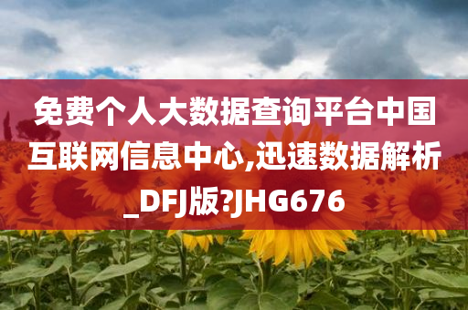 免费个人大数据查询平台中国互联网信息中心,迅速数据解析_DFJ版?JHG676