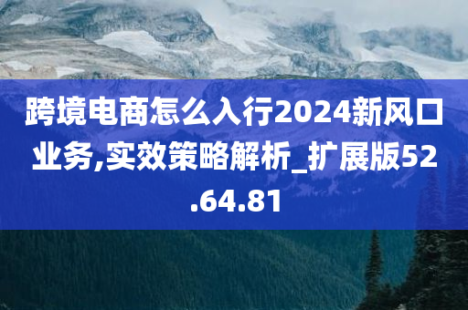 跨境电商怎么入行2024新风口业务,实效策略解析_扩展版52.64.81