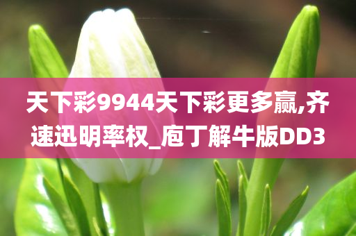 天下彩9944天下彩更多赢,齐速迅明率权_庖丁解牛版DD3