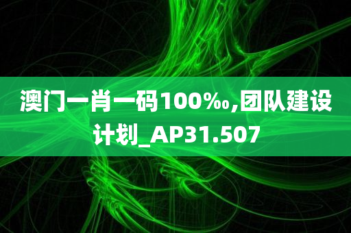 澳门一肖一码100‰,团队建设计划_AP31.507