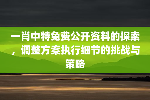 一肖中特免费公开资料的探索，调整方案执行细节的挑战与策略