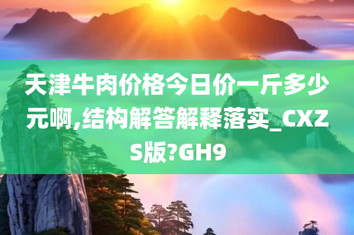 天津牛肉价格今日价一斤多少元啊,结构解答解释落实_CXZS版?GH9