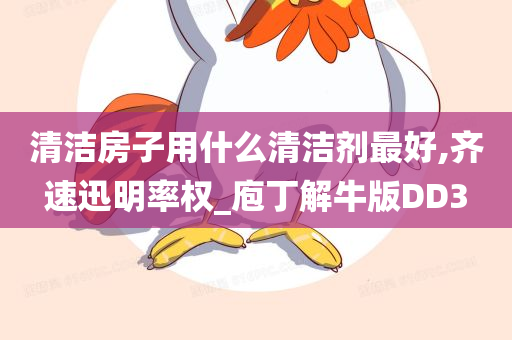 清洁房子用什么清洁剂最好,齐速迅明率权_庖丁解牛版DD3