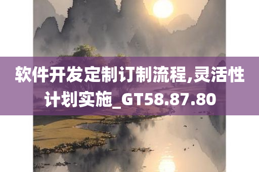 软件开发定制订制流程,灵活性计划实施_GT58.87.80