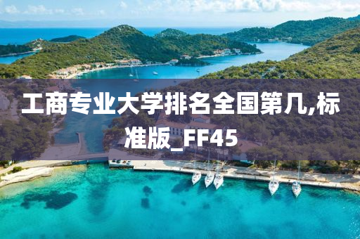 工商专业大学排名全国第几,标准版_FF45