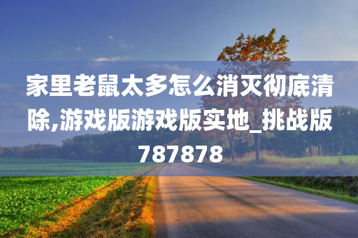 家里老鼠太多怎么消灭彻底清除,游戏版游戏版实地_挑战版787878